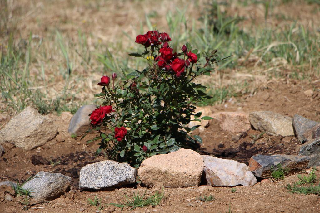 הוילה Azaruja Monte Da Azarujinha מראה חיצוני תמונה